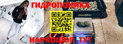 гидра Северобайкальск