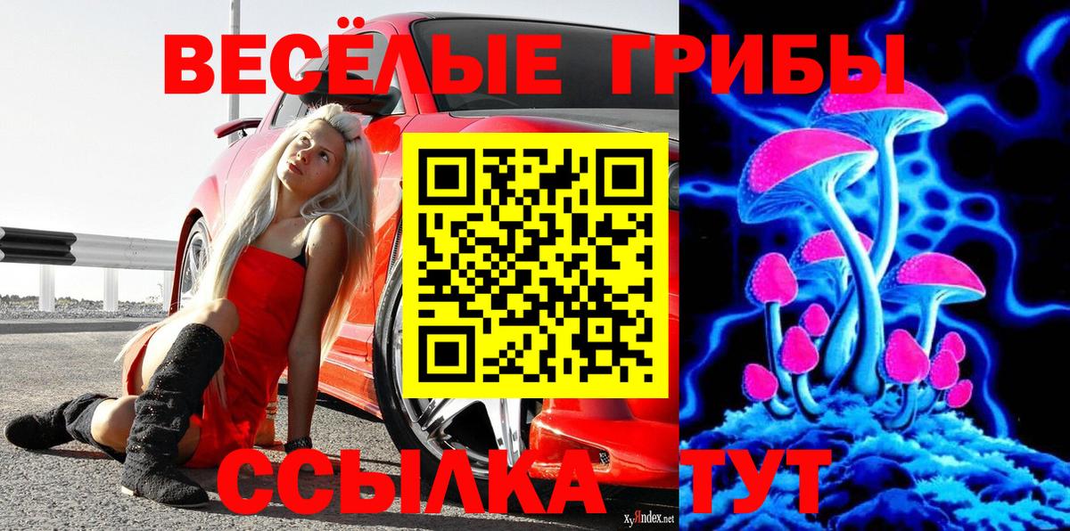 Оренбург  Псилоцибиновые грибы GOLDEN TEACHER  Псилоцибиновые грибы мухоморы  Вход с VPN 