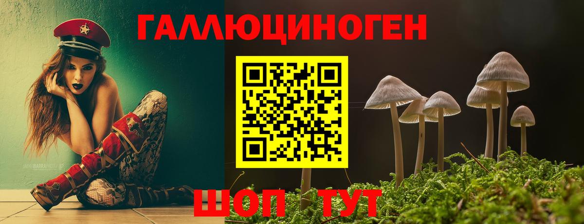 Псилоцибиновые грибы прущие грибы Оренбург